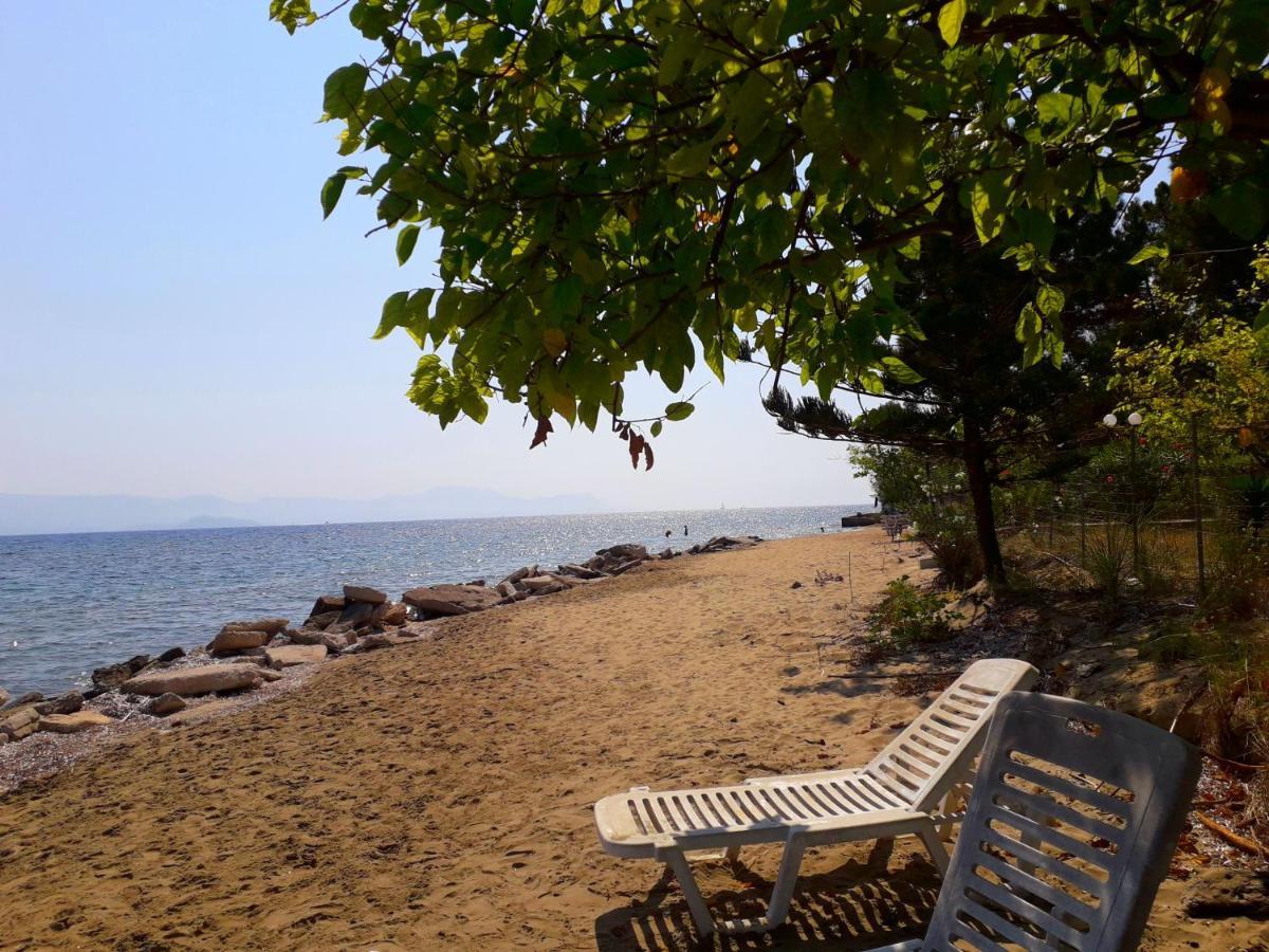 Ionio Apartments Лефкими Екстериор снимка
